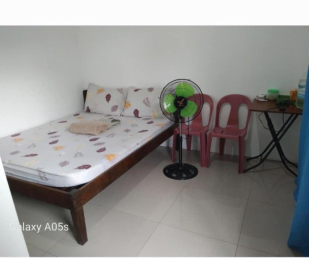 Francis Home Stay Port Barton Bonifacio Street San Vicente  Bagian luar foto